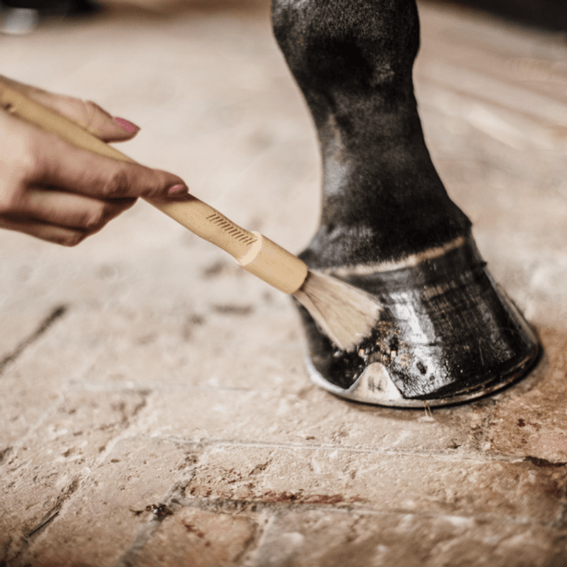 Grooming Deluxe Hoof Pencil