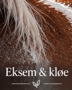 Hovedbilde Eksem og kløe