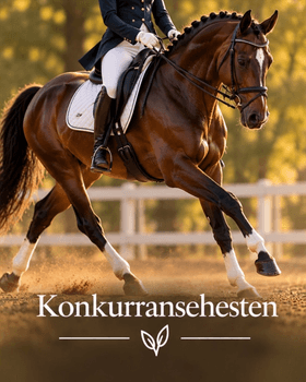 Hovedbilde Konkurransehesten