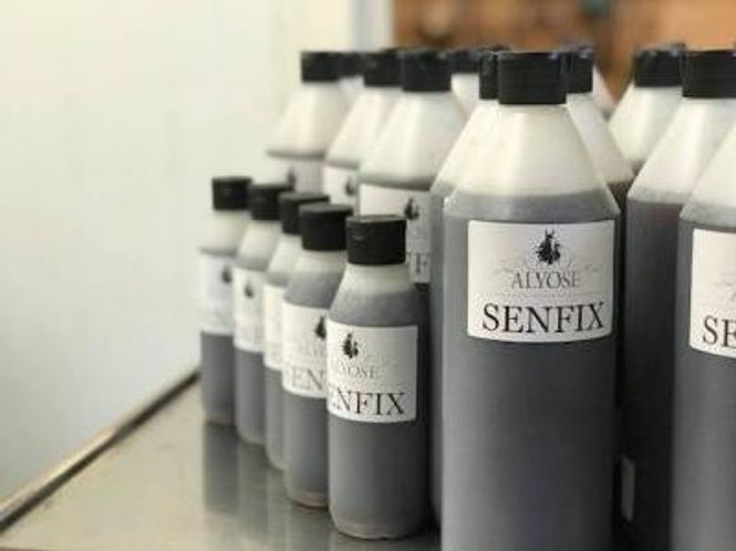 Hovedbilde Alyose Valurt med Arnika