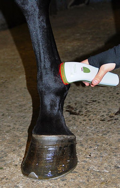 Photizo® Vetcare