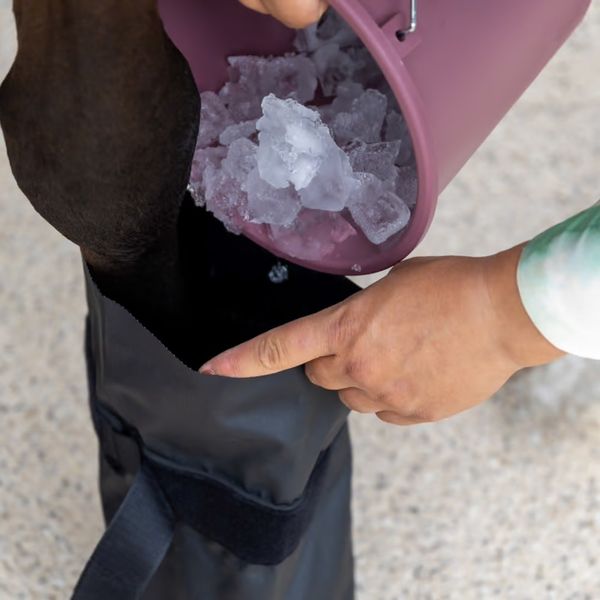 Kentucky Hoof Boot Medical & Ice Boots