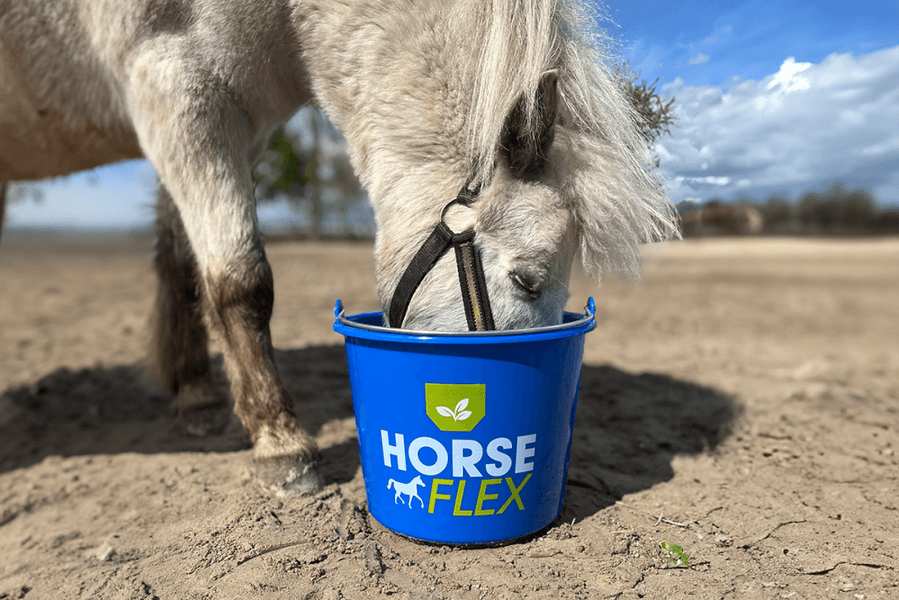 HorseFlex B&oslash;tte