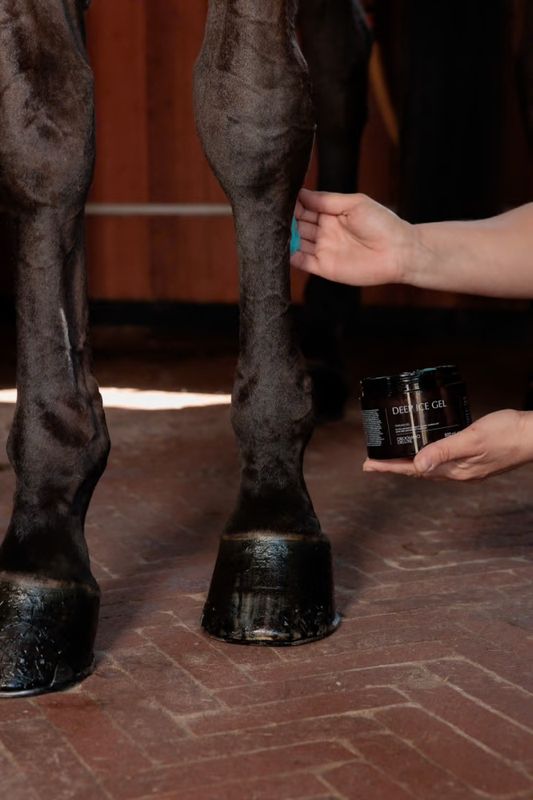 Grooming Deluxe Recovering Ice Gel