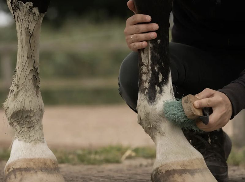Nellumbo Grønnleire - Muscle and Joint Comfort
