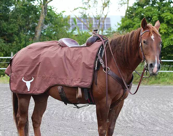 Hovedbilde All That Riding Rug