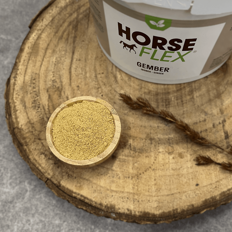 HorseFlex Ingefær