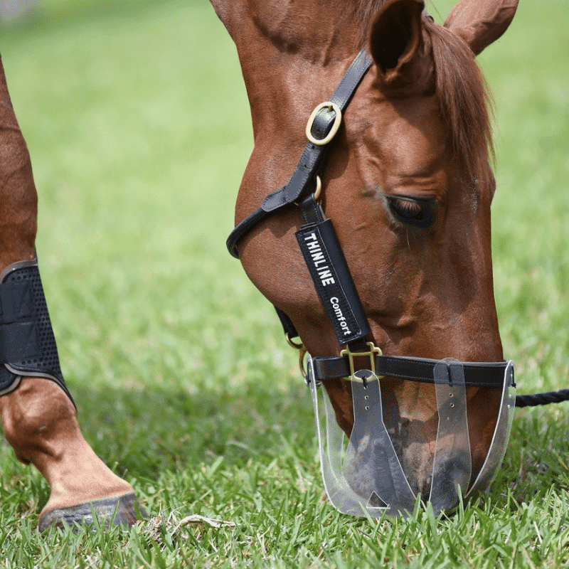 ThinLine Flexible Grass Mask