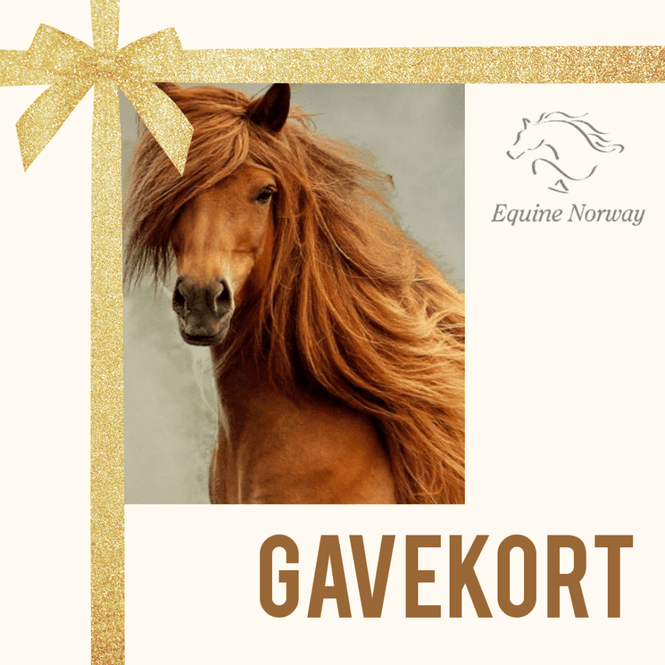 Hovedbilde Gavekort