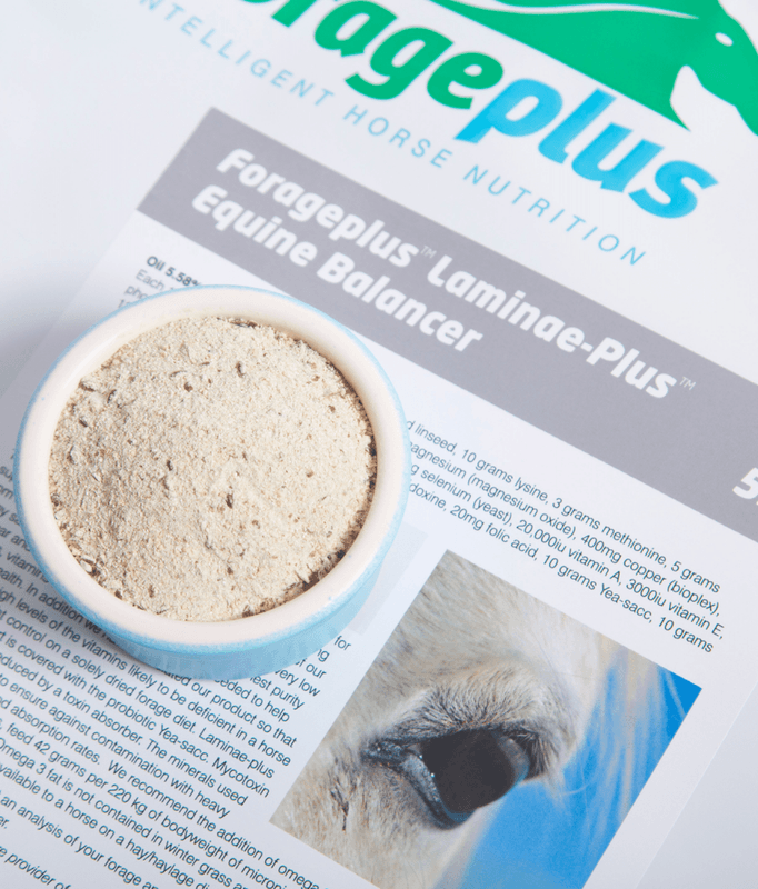 Forageplus Laminae-Plus Balancer